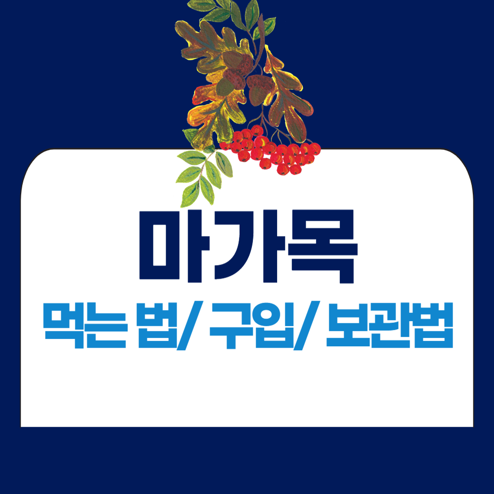 마가목 먹는법, 열매 구입, 보관법 알아보기