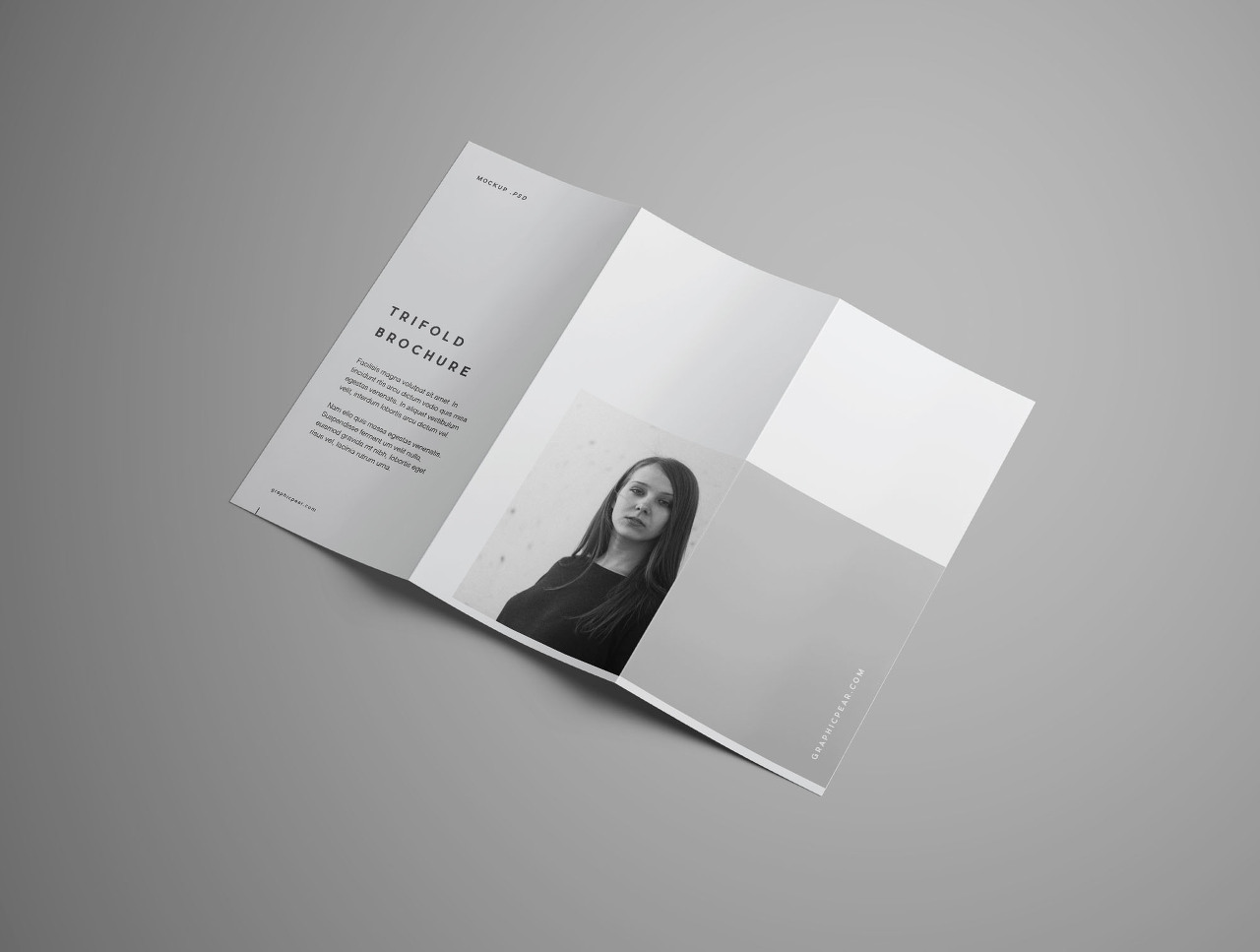 Free Advanced Trifold Brochure Mockup &ndash; 7 Angles