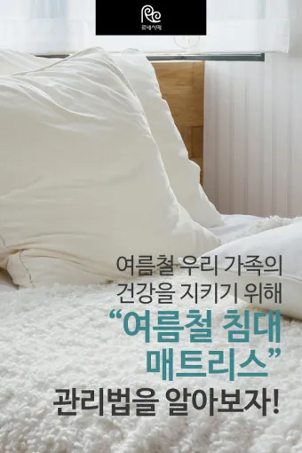 매트리스 관리 청소기 베이킹소다 회전주기 방수커버 팁_17