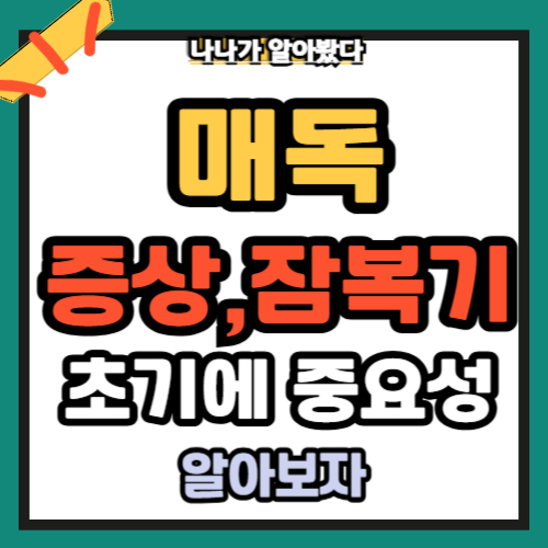 매독증상 원인 잠복기 치료