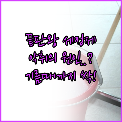 음식물처리기 딥클리닝 끝판왕 러스티노..