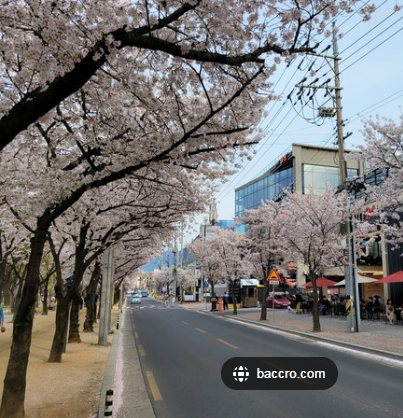 대구 수성 못 근처 카페 거리