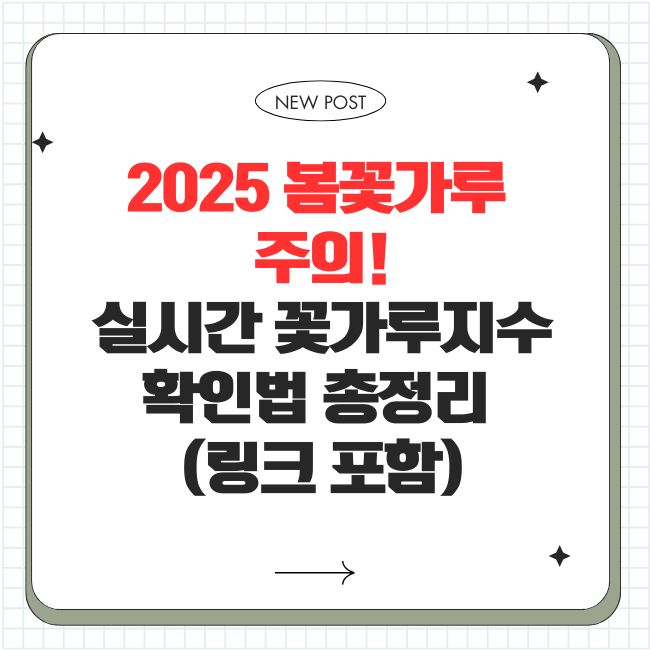 2025 봄꽃가루 주의! 실시간 꽃가루지수 확인법 총정리 (링크 포함)