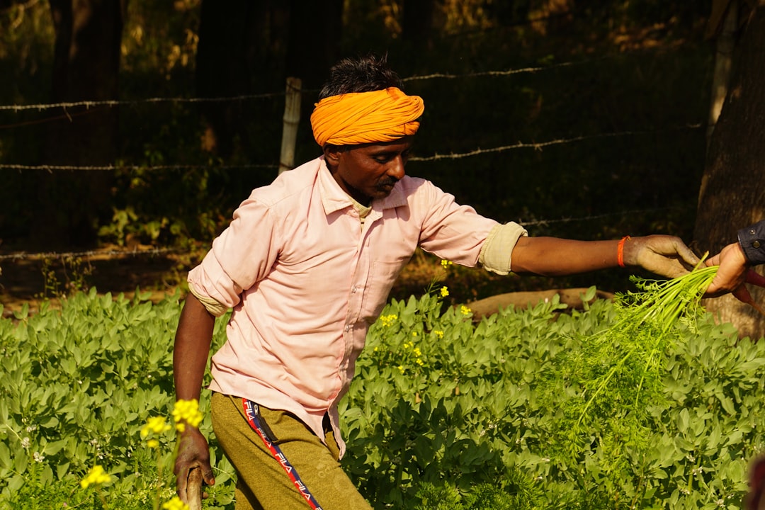 Farmers' allowance