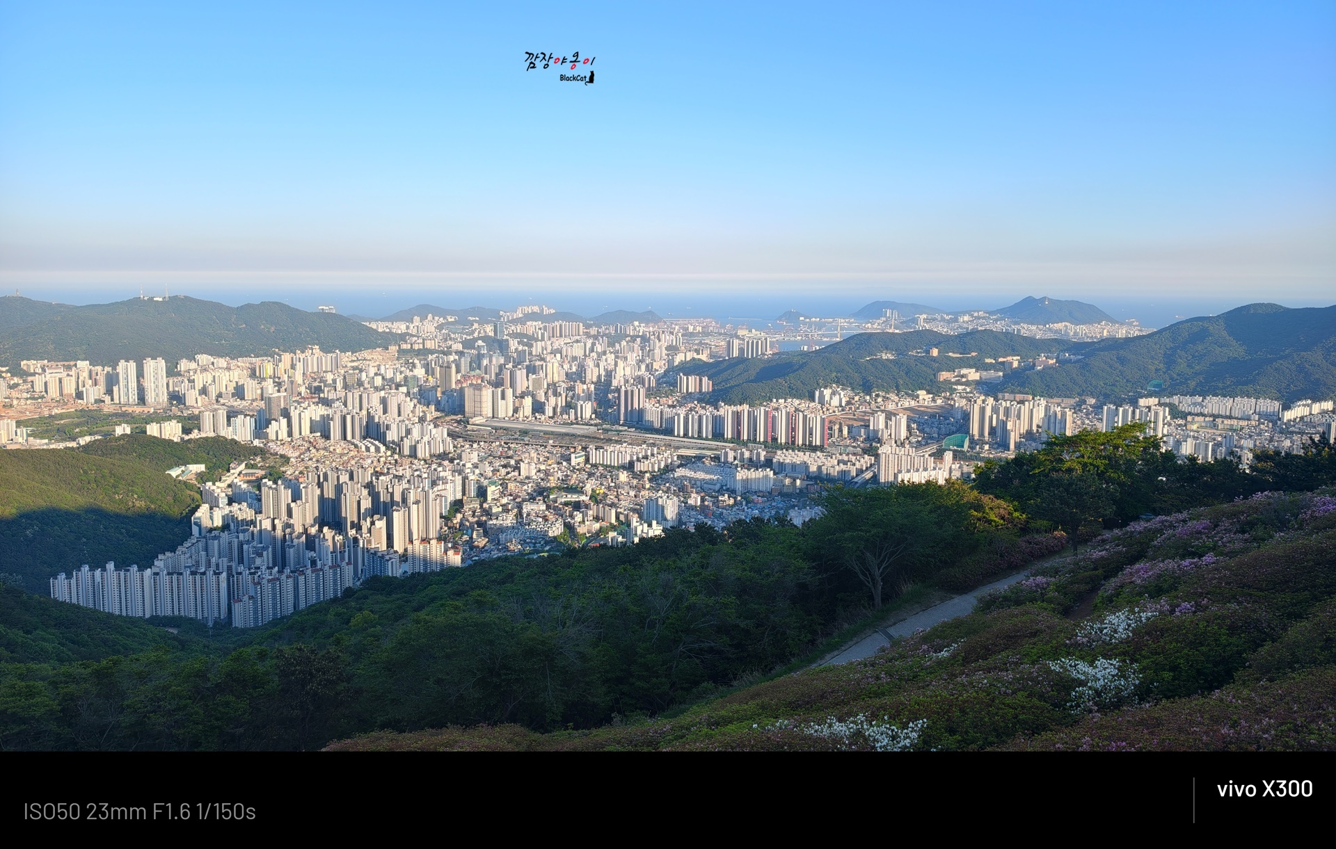 애진봉 철쭉군락지에서 바라본 황령산과 부산 도심 방향