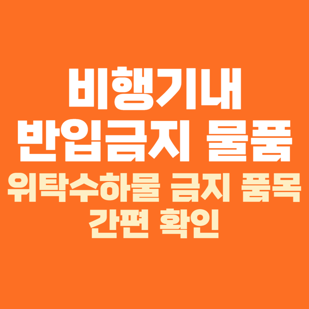 비행기 기내 반입 금지 물품 위탁수하물 검색 품목 확인