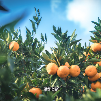 추석 연휴 국내여행지