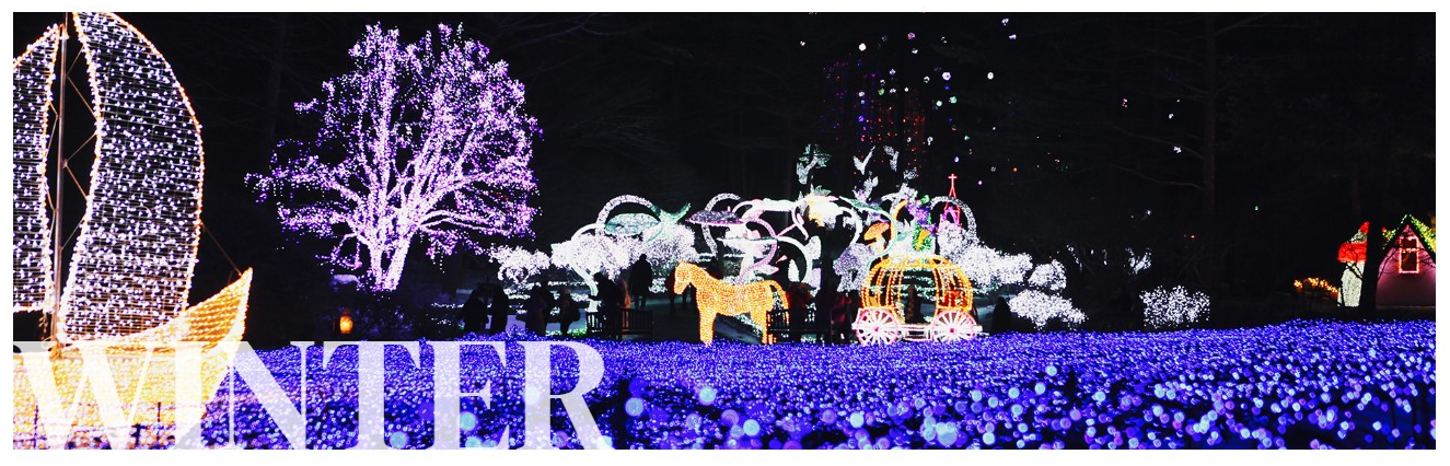 아침고요수목원 겨울 알림 사진