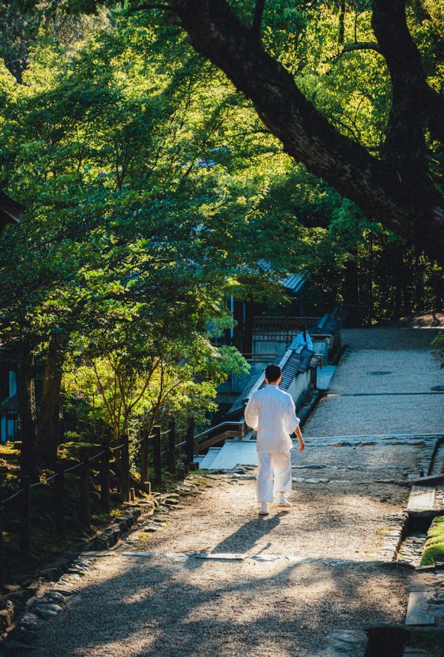 MZ세대의 힐링 명상 트렌드-디지털 명상, 마인드풀니스 명상, 자연 속 명상