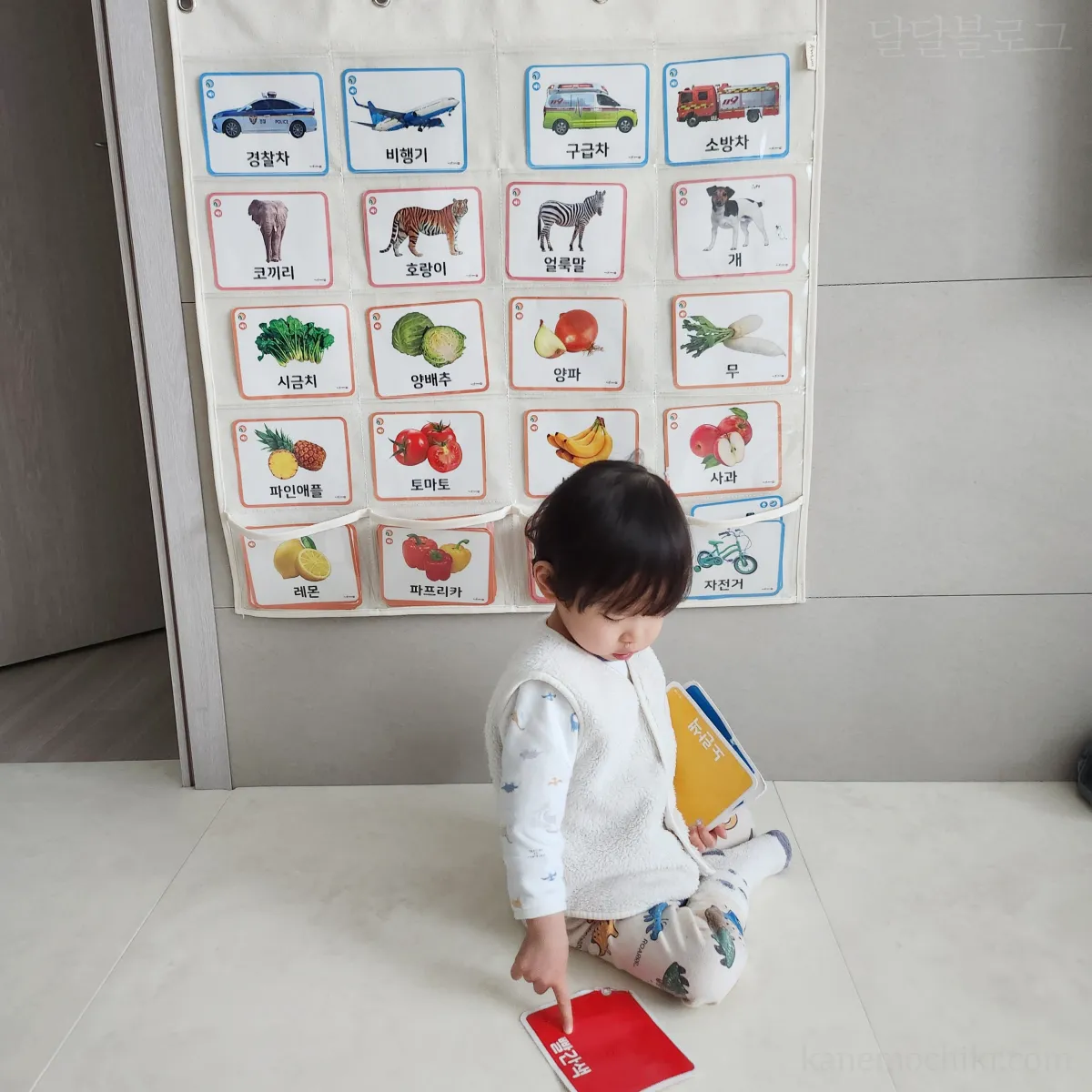 아무차트-낱말카드