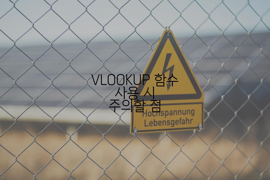 VLOOKUP 함수 사용 시 주의할 점