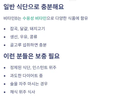 일반 식단 보충