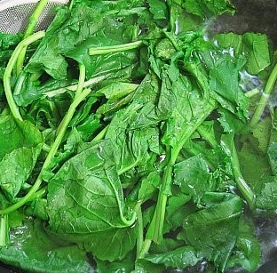 유채나물 효능 부작용 영양성분 고르는법 칼로리