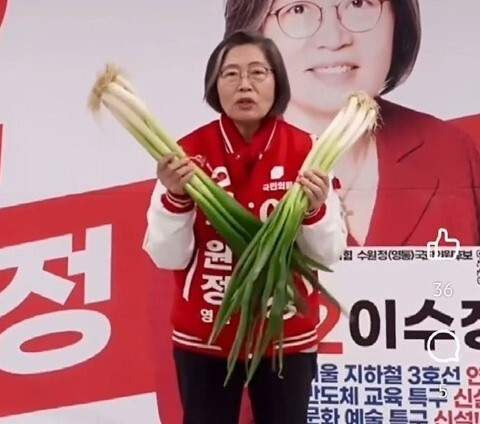 이수정 교수 대파