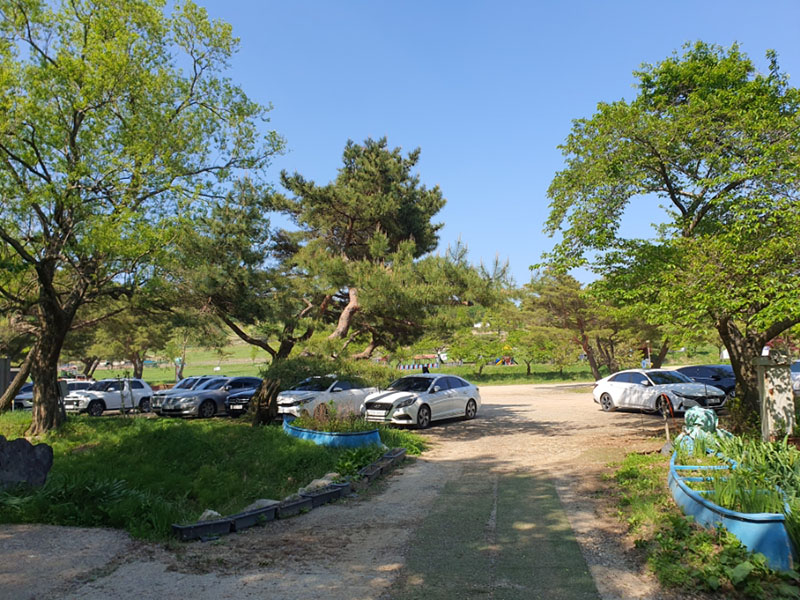 경주 화랑의 언덕 파크골프장. 경북 경주시 산내면 내일리 산261-2