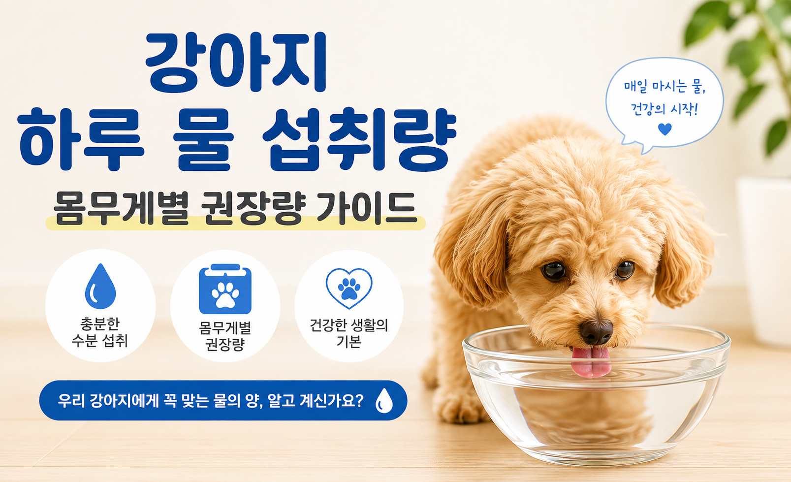 강아지 하루 물 섭취량 대표 이미지
