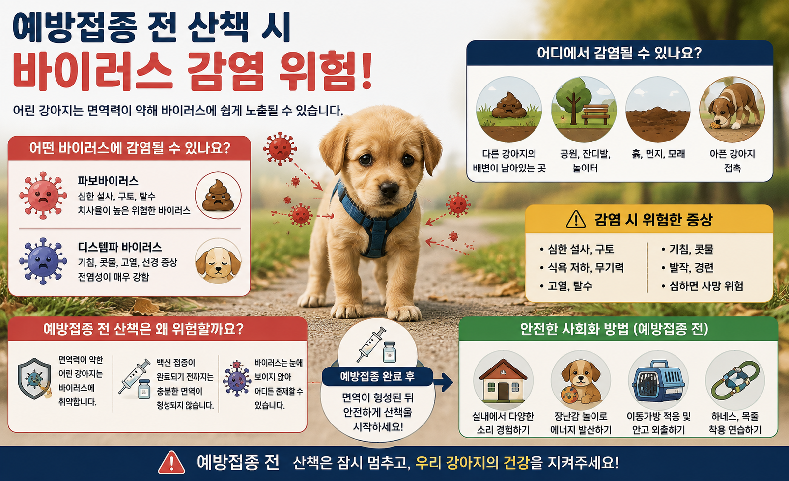 왜 예방접종 전에는 산책을 조심해야하는 위험 설명 이미지