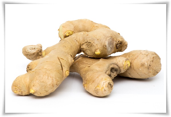 "10월 하순, 생강 수확 하세요!" 생강의 매력과 건강 효능, 최적의 수확시기! 생강의 효능과 활용!