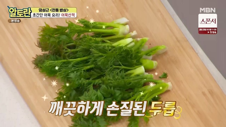 봄나물종류와효능 냉이 달래 쑥 두릅 씀바귀 머위 돌나물