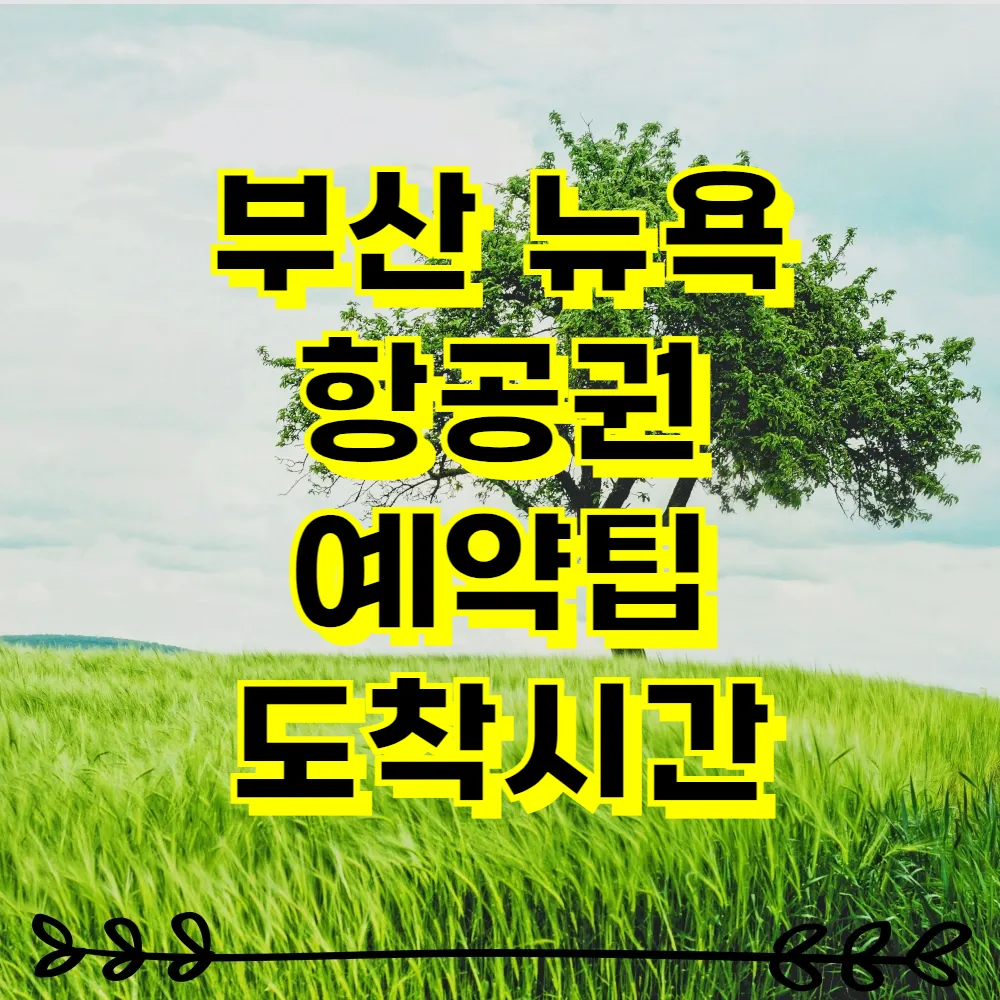 부산 뉴욕 항공권 예약팁 도착시간