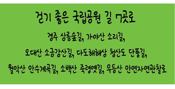 Alt 속성 문제 해결 설명 이미지