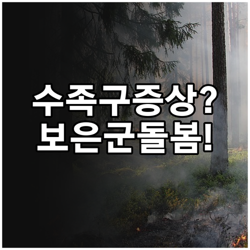 아이 수족구 증상과 보은군 진료 병원..