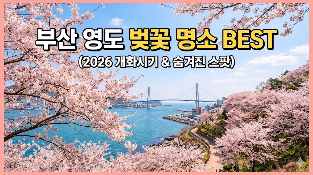 영도 벚꽃 명소
