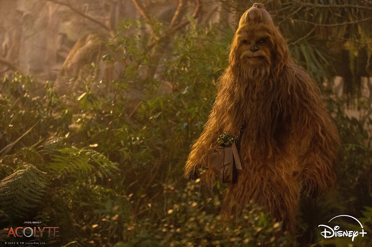 디즈니플러스 스타워즈 애콜라이트 몇부작 이정재 주연 애콜라이트 뜻 평점 후기 해외 반응