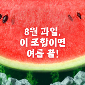 8월 여름 과일 추천