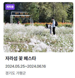 6월 축제 일정표