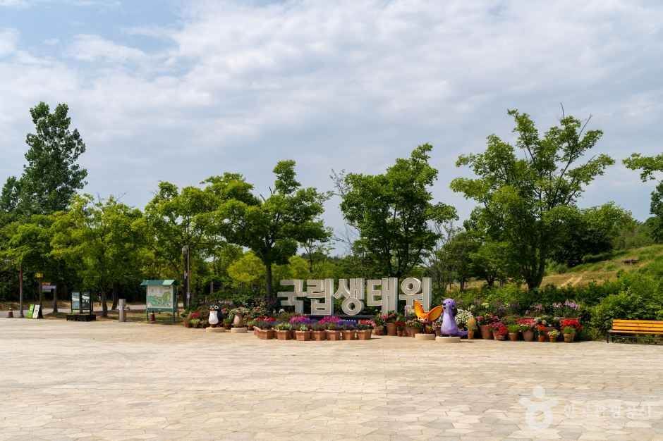 서해 가볼만한곳 베스트 10