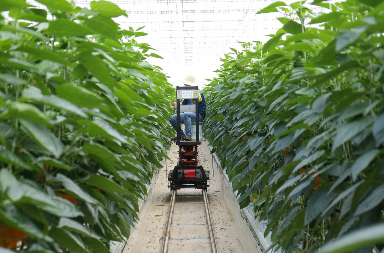 스마트농업의 혁신