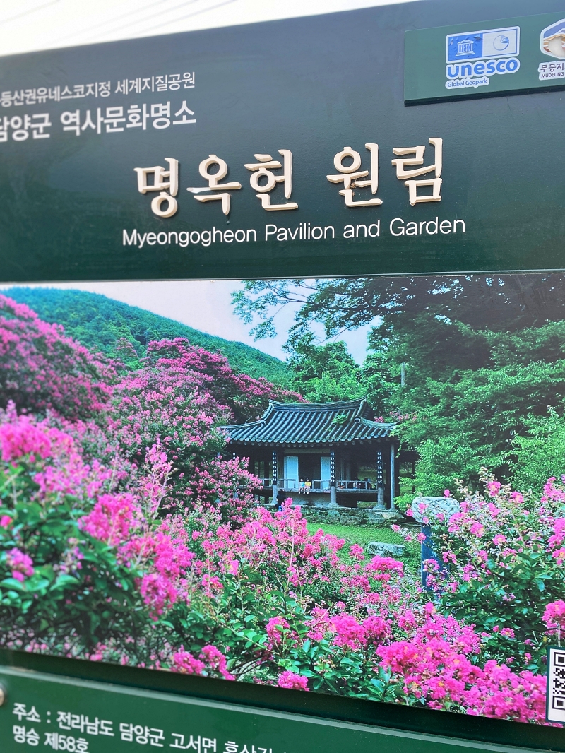 붉게물든 백일홍나무