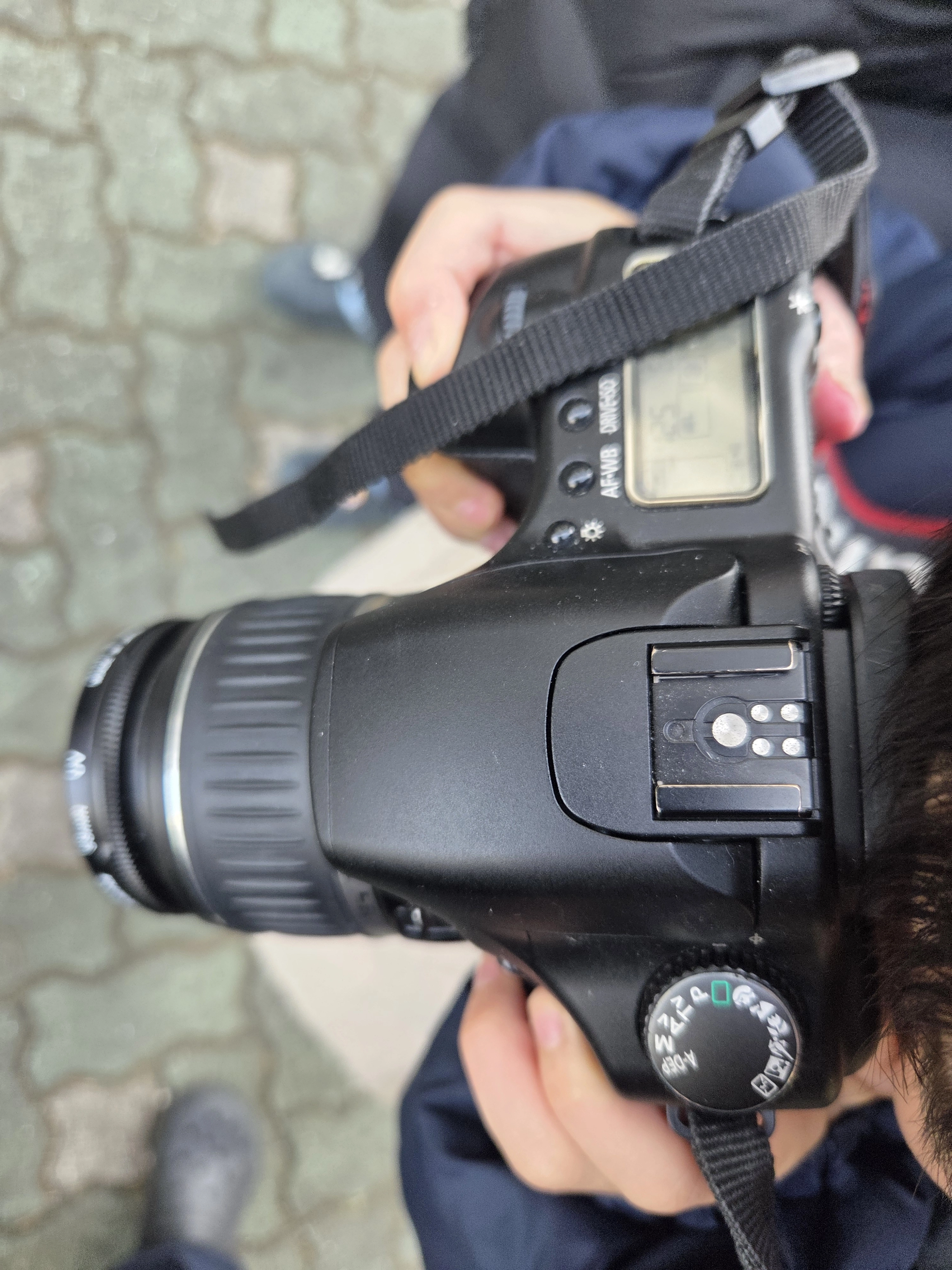 Canon EOS 30D가 즉시 보상을 주지 않았던 날의 기록