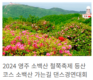 영주 소백산 철쭉제