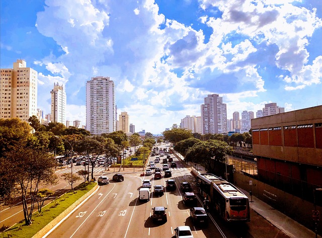 브라질 상파울루