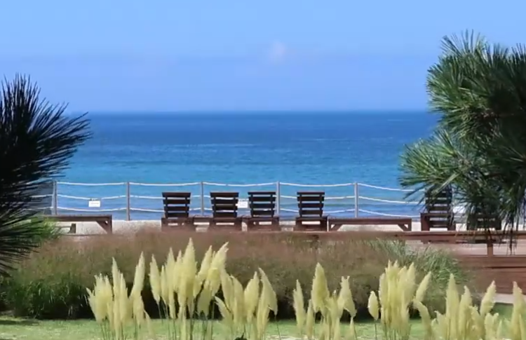 태안 천리포수목원으로 가는 가을 여행과 예쁜 카페