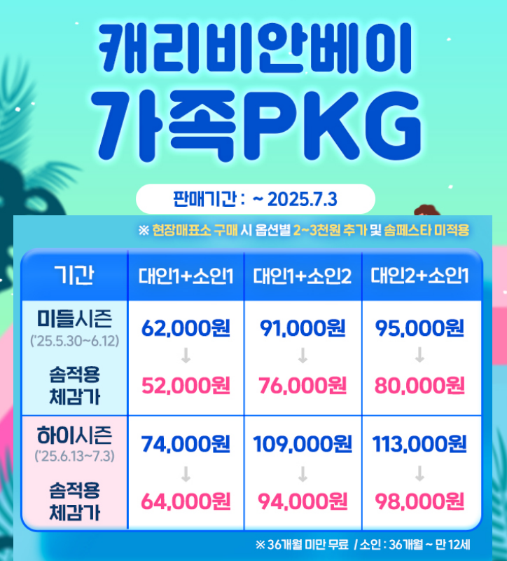 캐리비안 베이 가족 패키지 할인