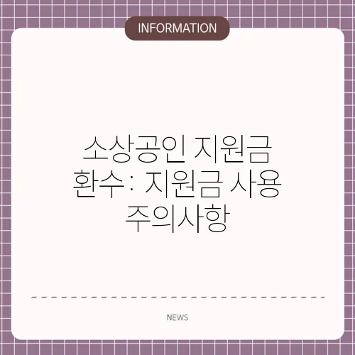 소상공인 지원금 환수: 지원금 사용 주의사항