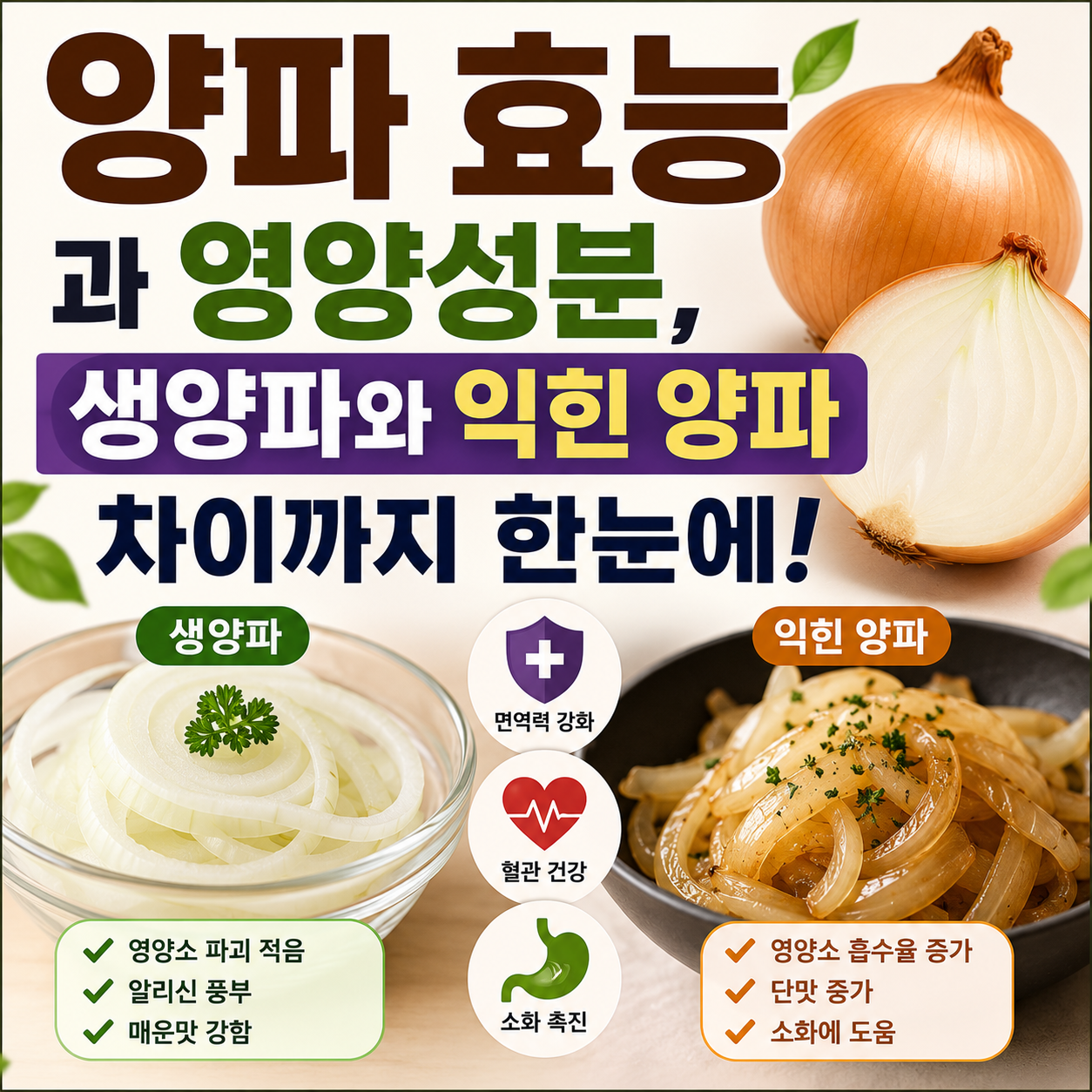 양파 효능