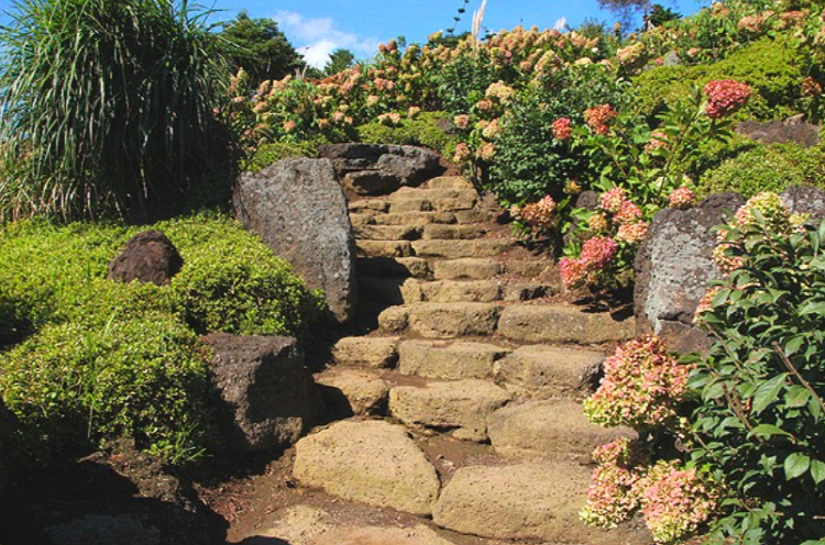 제주 송당동화마을