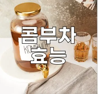 콤부차 효능_10