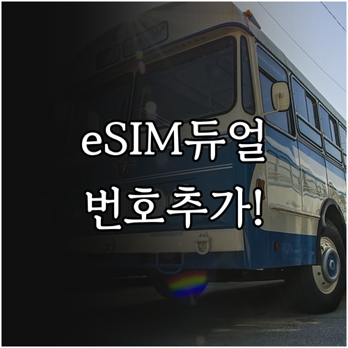 eSIM 듀얼넘버 공기계 중 내게 맞..