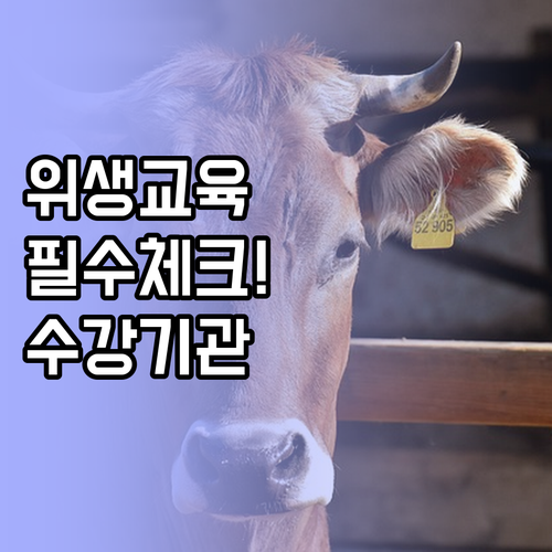 축산물 위생교육 이수 확인 방법과 업..