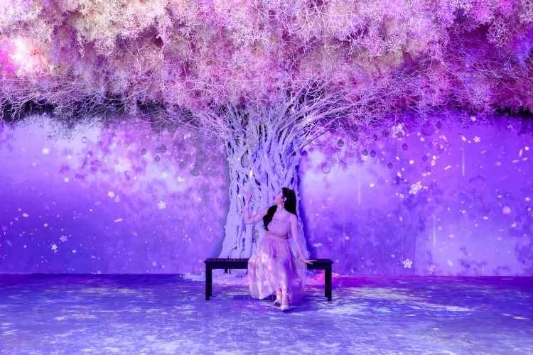 플라워바이네이키드 홍대 놀거리 입장료 23% 할인예매방법, 즐기는 꿀팁 네가지