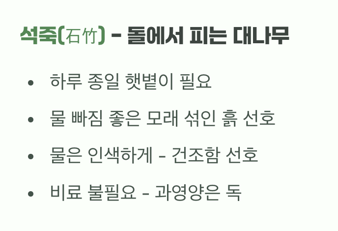 야생화의 취향, 햇살은 듬뿍 물은 인색하게