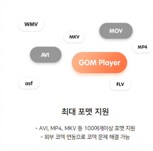 다양한 동영상 포맷 지원 안내