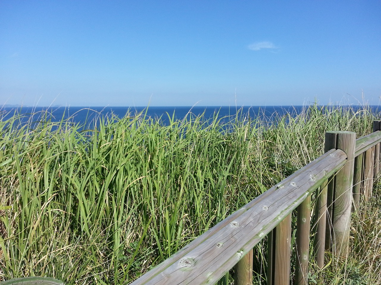 제주도 올레길