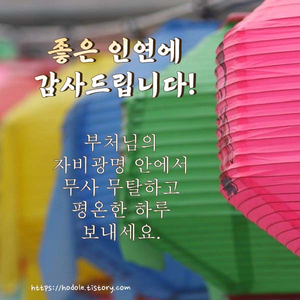 무사무탈한-하루