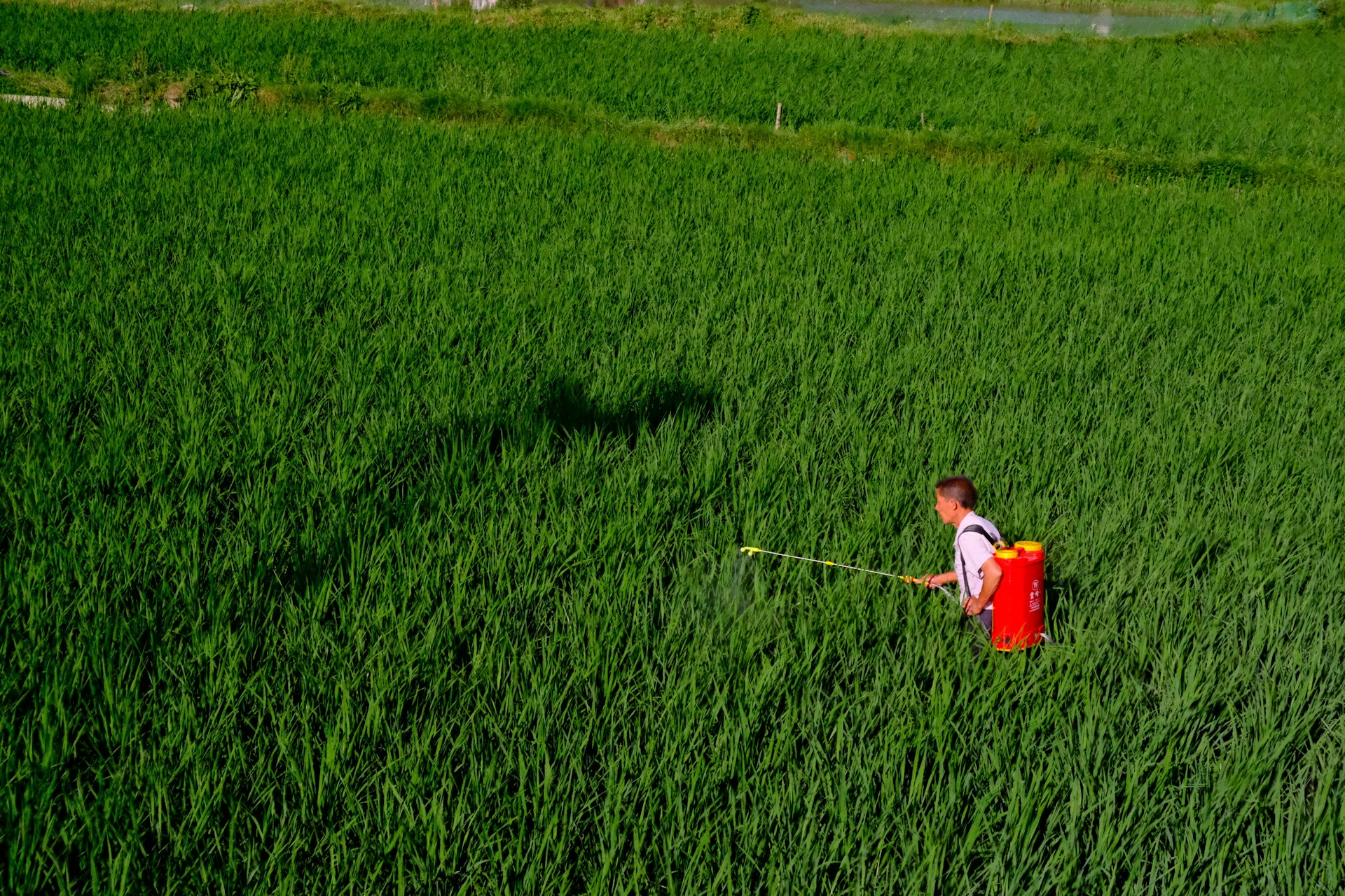 방제, 방제 기술